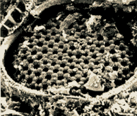 珪藻土・電子顕微鏡写真